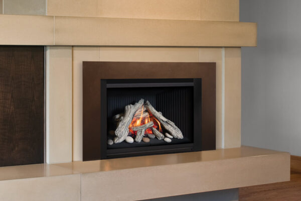 Legend G4 Direct Vent Gas Fireplace Insert - Propane Gas