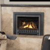 logs-lifestyle Direct Vent Insert Engine - Natural Gas