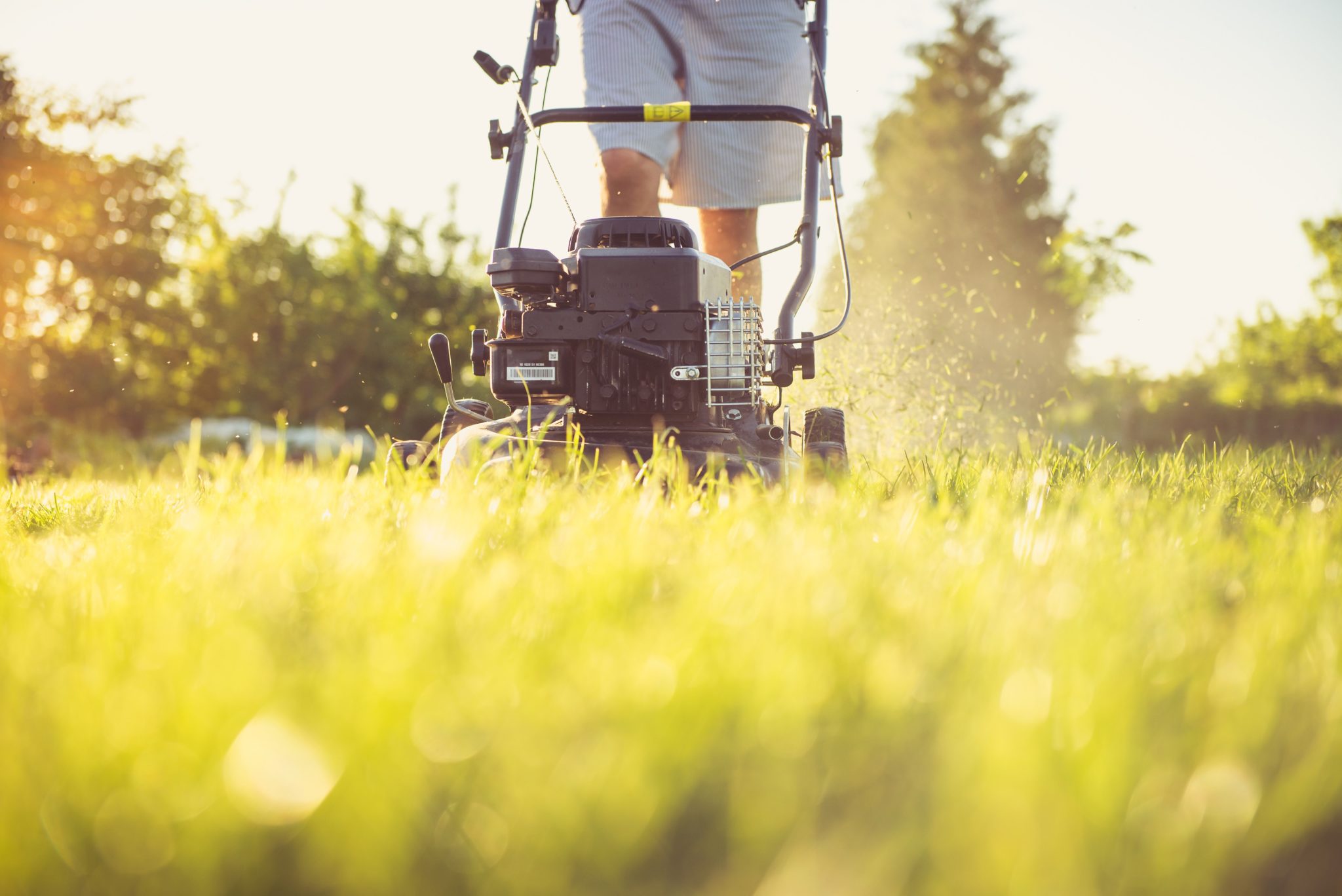 Person mowing their lawn in the spring