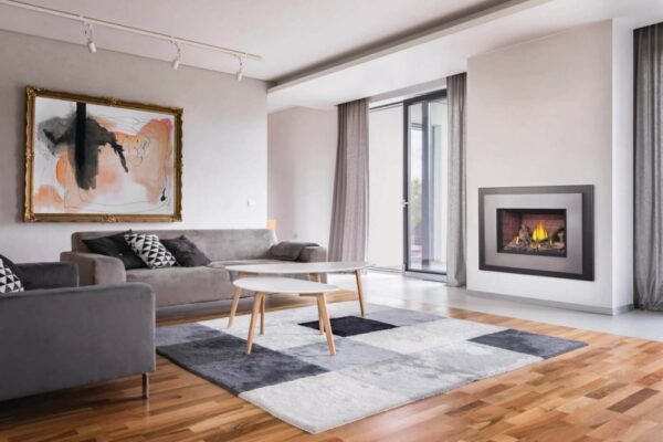 Direct Vent Insert, Electronic Ignition, Natural Gas