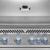 BIG32RBNSS-1-Web-Gallery-01-BIG32RB-1-Grillhead-Str (2) Built-In 700 Series 32